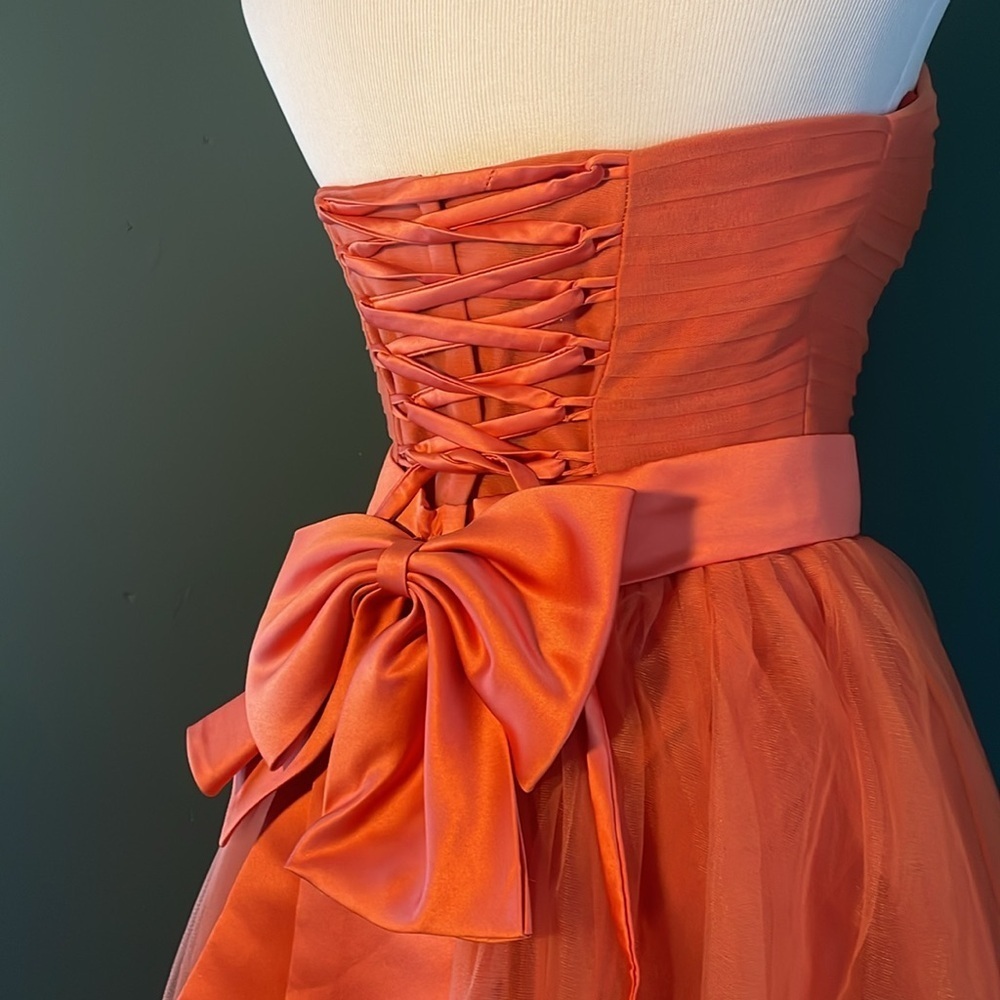 Custom made stunning tulle dress , vintage style
Corset lace up back - Picture 8 of 10